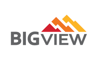 BIGView Surveillance Solutions