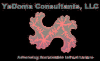 YeDoma Consultants, LLC