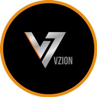 Vzion Windows and Doors