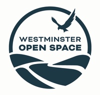 City of Westminster