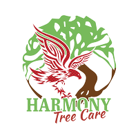Harmony Tree Care 