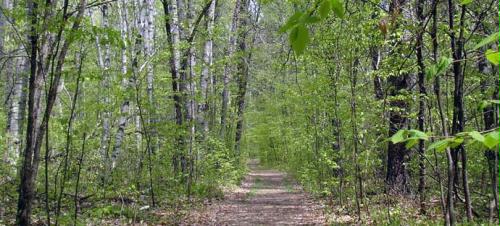 Area hiking and walking trails offer an up-close view of nature and wildlife.