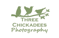 Three Chickadees Photography by Amanda Rae