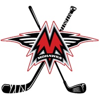 Mason City Youth Hockey Fundraiser
