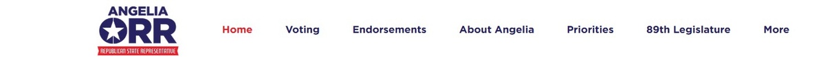 Angelia Orr, Texas State Representative District 13