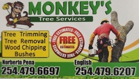 Monkey's Tree Services