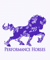 2B Performance Horses LLC