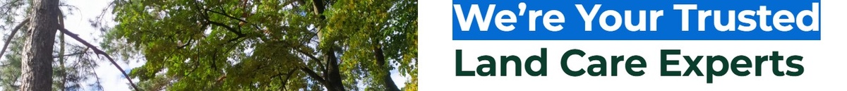 Texas Climbers Tree Service LLP