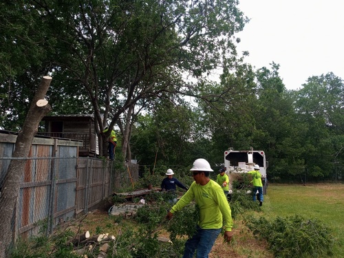 Gallery Image Texas-Climbers-Tree-Service-Hillsboro-Texas.jpg