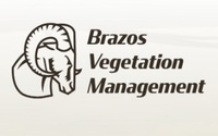 Brazos Vegetation Management