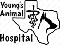 Young's Animal Hospital