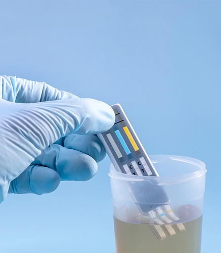 Gallery Image ReasonableSuspicion.jpg