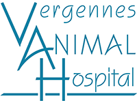 Vergennes Animal Hospital