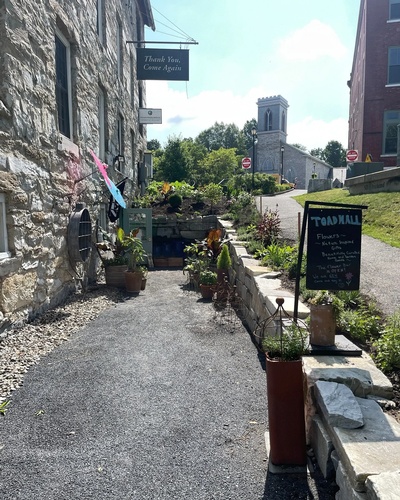 Gallery Image Toad%20Hall%20Flowers.jpg