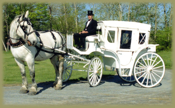 Gallery Image new_carriage2.jpg