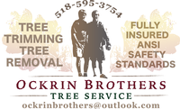 Ockrin Brothers LLC