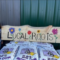 Local Roots