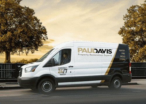 Gallery Image Paul%20Image%206.png