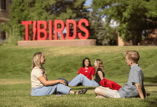 Gallery Image Southern%20Image%202.png