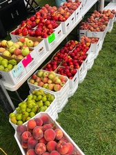The Downtown Farmer Market