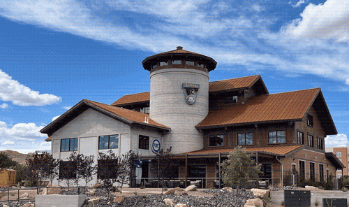 Gallery Image Strap%20Tank%20Image%201.png