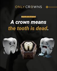Gallery Image Only-Crowns%20Image%205.jpeg