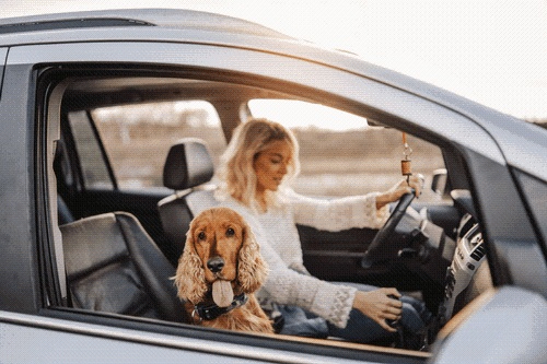 Gallery Image Utah%20Community%20Image%202.png