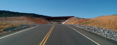 Gallery Image overpass.jpg