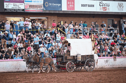 Gallery Image St.%20George%20Lions%20Image%201.png