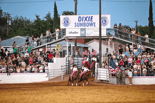 Gallery Image St.%20George%20Lions%20Image%202.png