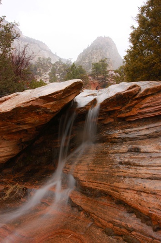 Gallery Image WCWCD%20Image%201.jpg