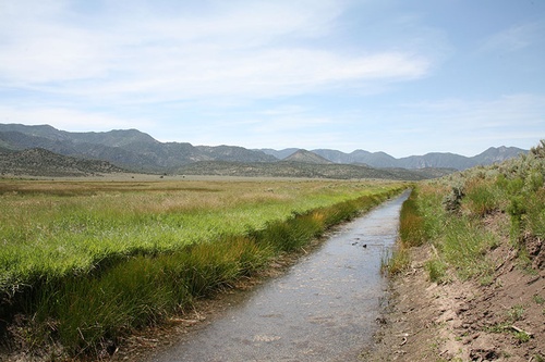 Gallery Image WCWCD%20Image%203.jpg