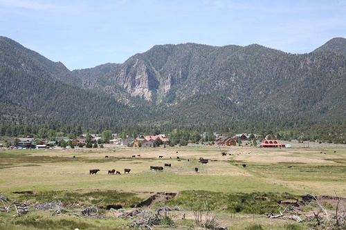 Gallery Image WCWCD%20Image%204.jpg