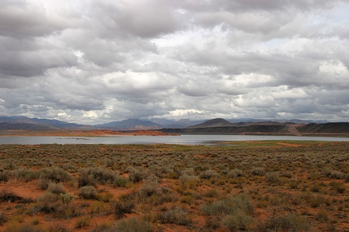 Gallery Image WCWCD%20Image%205.jpg