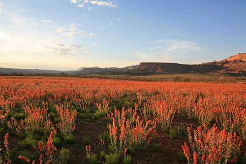 Gallery Image WCWCD%20Image%209.jpg