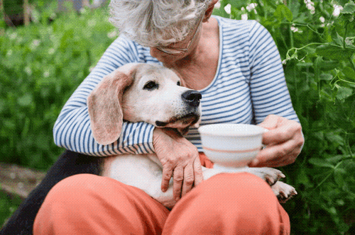 Gallery Image The%20Sunbrook%20Image%202.png