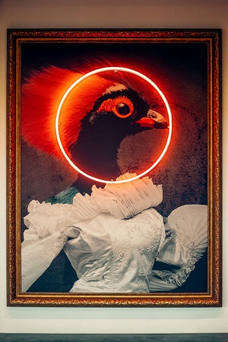 Gallery Image Wood%20Ash%20Rye%20Image%204.jpg