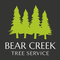 Bear Creek Tree Service 