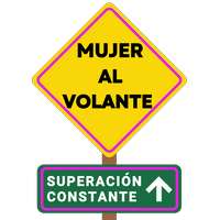 Mujer al Volante