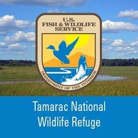 Tamarac National Wildlife Refuge