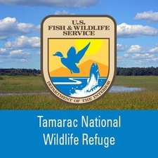 Tamarac National Wildlife Refuge