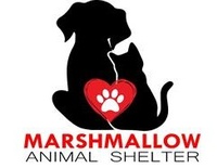 Marshmallow Animal Shelter & Boarding