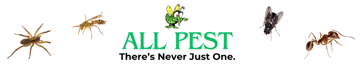 All Pest