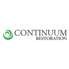Continuum Restoration