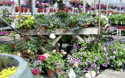 Gallery Image Screenshot%202026-07-15%20at%203.15.04andX8239.PM.png