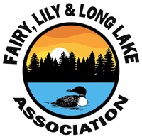 Fairy Lily Long Lake Association