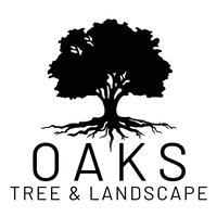 Oaks Tree and Landscape