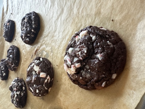 Gallery Image IMG_1257_050126-040851.jpeg