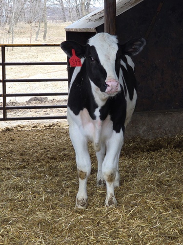 Gallery Image original-0E1E3769-6D56-422C-961B-FE15121D3D90.jpeg