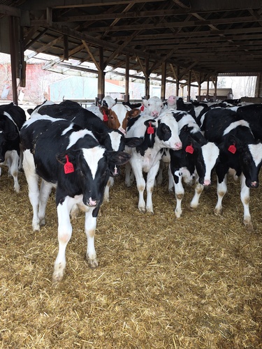 Gallery Image original-1E5986B9-CA78-4B28-8F5C-D23AAA0E09ED.jpeg